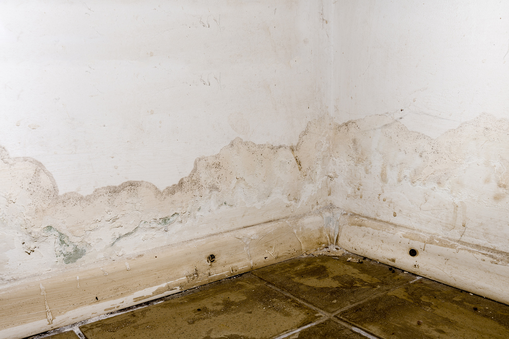 walls and floor damaged by flood